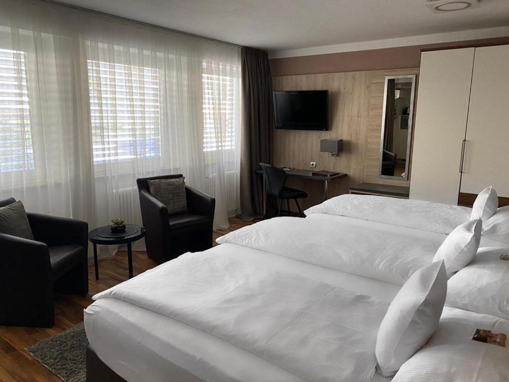 Zum Ziel Hotel Grenzach-Wyhlen Bei Basel Εξωτερικό φωτογραφία